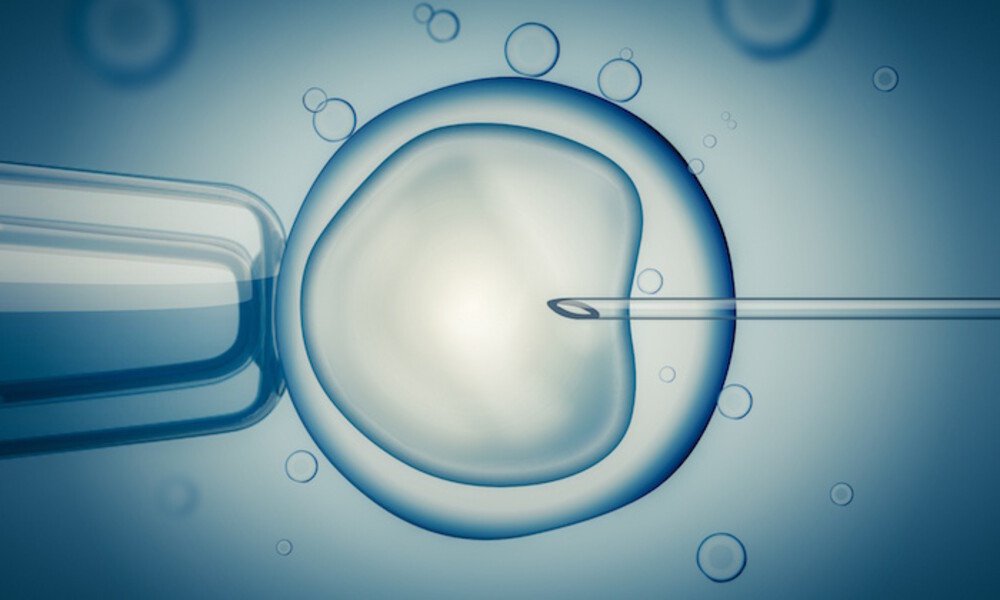 suni mayalanma (ivf)